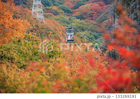 小豆島 寒霞渓 紅葉 小豆島 寒霞渓 紅葉 133269191