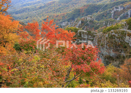 小豆島 寒霞渓 紅葉 小豆島 寒霞渓 紅葉 133269193