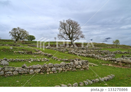 Ruins at the Hellenic Archaeological Park of Antigonea 133270866