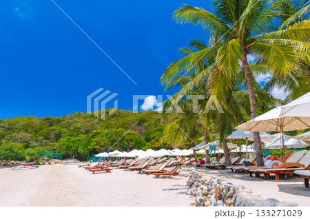 tropical resort with sun beds and umbrellas under palm trees on beach by sea. Landscape panorama with view of exotic ocean shore in summer. Beach on tropical island. Tourist destination for holidays 133271029