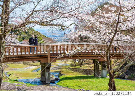 養老公園の桜 渡月橋《岐阜県 養老郡 養老町》 133271134