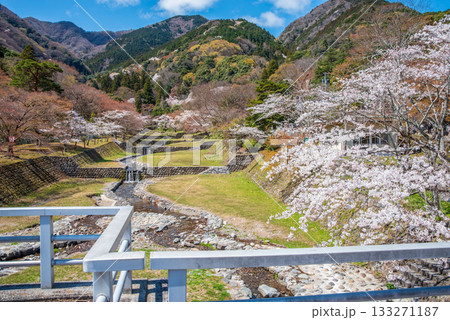 養老公園の桜 不動橋からの絶景《岐阜県 養老郡 養老町》 養老公園の桜 不動橋からの絶景《岐阜県 養老郡 養老町》 133271187