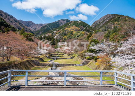 養老公園の桜 不動橋からの絶景《岐阜県 養老郡 養老町》 養老公園の桜 不動橋からの絶景《岐阜県 養老郡 養老町》 133271189