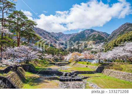 養老公園の桜 松風橋からの絶景《岐阜県 養老郡 養老町》 養老公園の桜 松風橋からの絶景《岐阜県 養老郡 養老町》 133271208