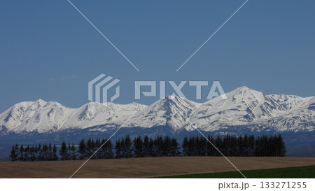 美瑛の防風林と十勝岳連峰 美瑛の防風林と十勝岳連峰 133271255