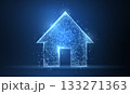 Home symbol. Polygonal wireframe mesh icon. Concept illustration or background 133271363