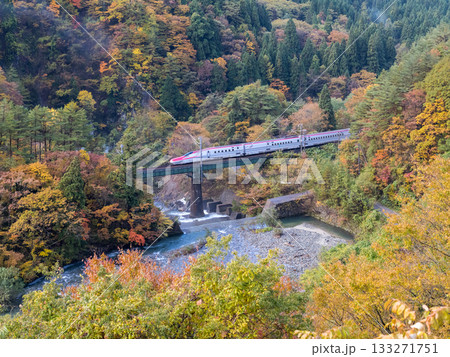 【秋田新幹線】紅葉する渓谷を通過する特急こまち 【秋田新幹線】紅葉する渓谷を通過する特急こまち 133271751