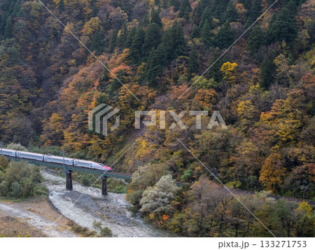 【秋田新幹線】紅葉する渓谷を通過する特急こまち 133271753