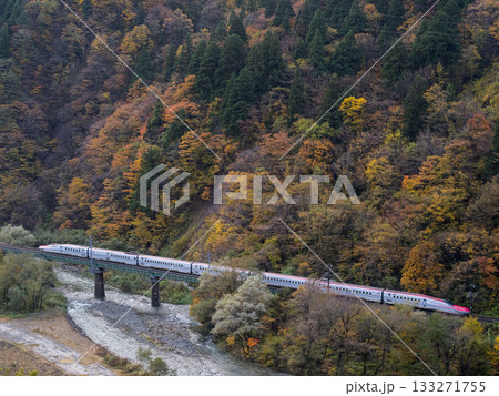 【秋田新幹線】紅葉する渓谷を通過する特急こまち 133271755