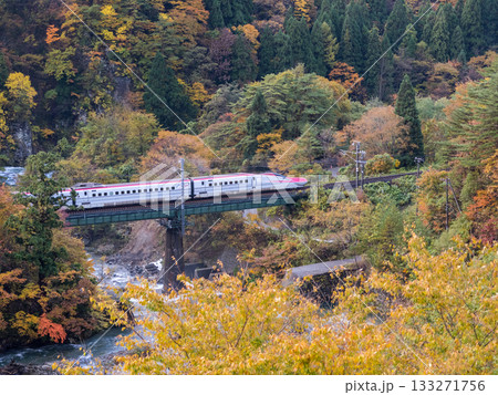 【秋田新幹線】紅葉する渓谷を通過する特急こまち 133271756