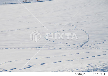 雪上の野生動物の足跡 133271961
