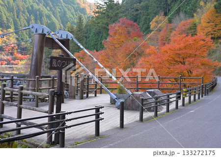 大井平公園 風のつり橋 大井平公園 風のつり橋 133272175