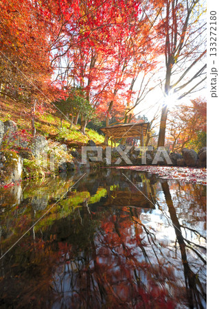 大井平公園 133272180