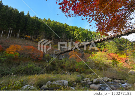 大井平公園　吊橋 133272182