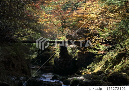 丸太橋を照らす紅葉 (愛媛県 小田深山渓谷) 丸太橋を照らす紅葉 (愛媛県 小田深山渓谷) 133272191