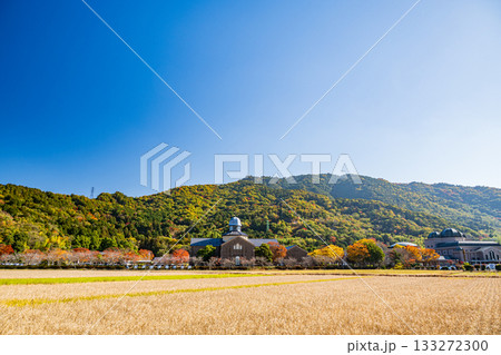 滋賀県立安土城考古博物館 滋賀県近江八幡市 滋賀県立安土城考古博物館 滋賀県近江八幡市 133272300