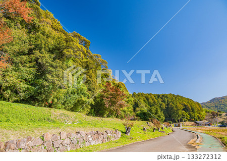 安土城跡 滋賀県近江八幡市 安土城跡 滋賀県近江八幡市 133272312