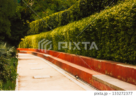 A picturesque pathway through a lush formal garden with green hedges and red concrete. A pathway winds through a landscaped garden, vibrant green bushes creating a serene, inviting space. 133272377