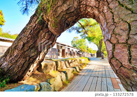 島根県 松江市　塩見縄手の風景 133272578