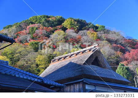 秋の京都 嵐山紅葉 秋の風景 秋の京都 嵐山紅葉 秋の風景 133273331