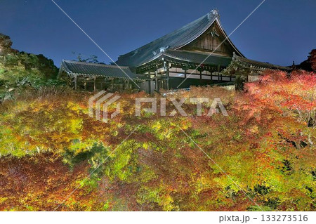 京都 東福寺 紅葉ライトアップ 京都 東福寺 紅葉ライトアップ 133273516