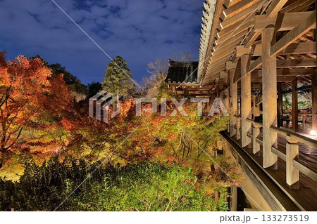 京都 東福寺 紅葉ライトアップ 京都 東福寺 紅葉ライトアップ 133273519