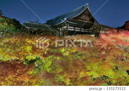 京都　東福寺　紅葉ライトアップ 133273522