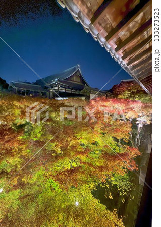 京都 東福寺 紅葉ライトアップ 京都 東福寺 紅葉ライトアップ 133273523