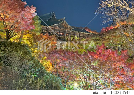 京都　東福寺　紅葉ライトアップ 133273545