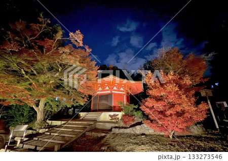 京都　東福寺　紅葉ライトアップ 133273546