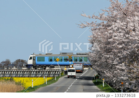 桜とリゾート白神 133273618