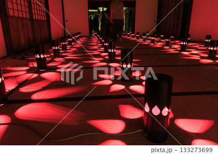 あんじんの灯ー岐阜県関市の龍泰寺を彩る幻想的ライトアップアートインスタレーション 133273699