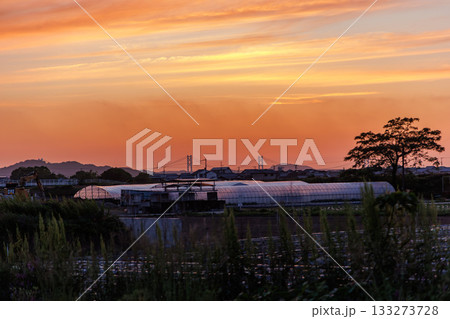 夕焼けに染まる瀬戸大橋 夕焼けに染まる瀬戸大橋 133273728