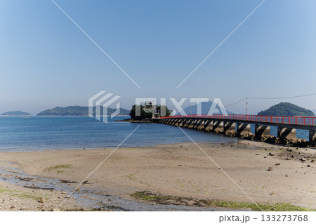 津嶋神社本殿（香川県三豊市） 133273768