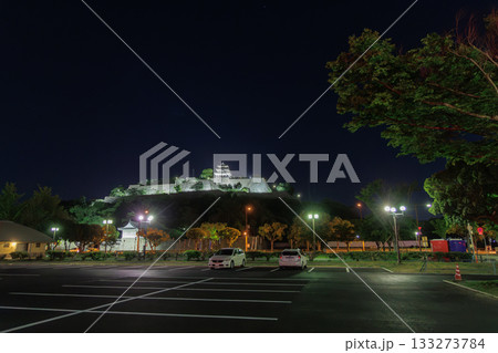 ライトアップされた丸亀城（香川県丸亀市） 133273784