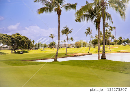 ハワイ（オアフ島）の休日（ゴルフライフ）カポレイno15 133273807