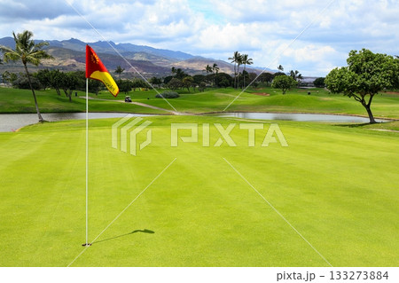 ハワイ（オアフ島）の休日（ゴルフライフ）カポレイno16 133273884