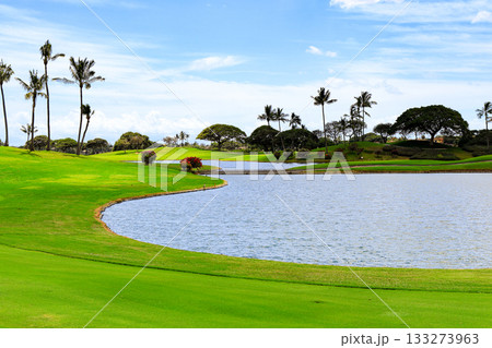 ハワイ（オアフ島）の休日（ゴルフライフ）カポレイNO18 133273963