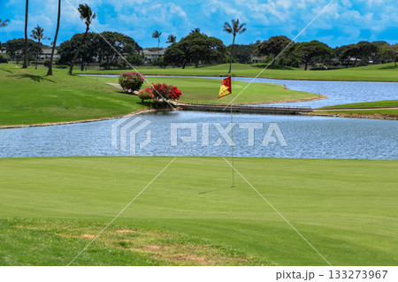 ハワイ（オアフ島）の休日（ゴルフライフ）カポレイNO18 133273967