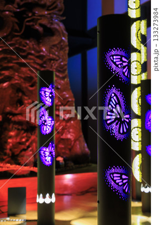 岐阜県関市・龍泰寺の龍の木彫りを照らす幻想的竹あかりライトアップ 133273984