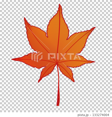 Illustration of autumn leaves Illustration of autumn leaves 133274004