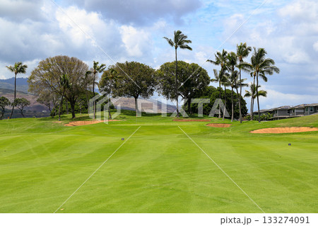 ハワイ（オアフ島）の休日（ゴルフライフ）カポレイNO 133274091