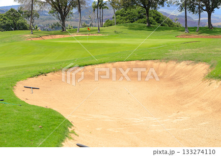 ハワイ（オアフ島）の休日（ゴルフライフ）カポレイNO18 133274110