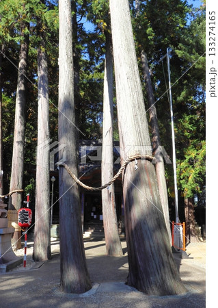 豊川稲荷 奥の院前の大木と注連縄 133274165