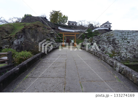 臼杵城 古橋口城から見る大手門跡と大門櫓（大分県臼杵市） 133274169