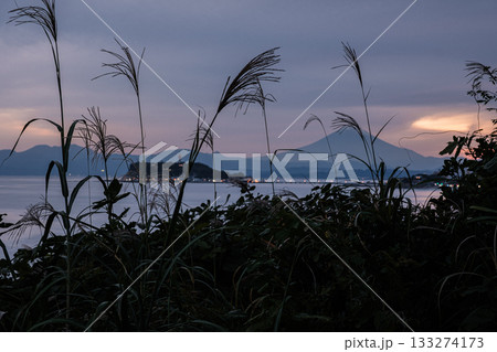 神奈川県鎌倉市稲村ケ崎すすき越しの夕焼け 133274173