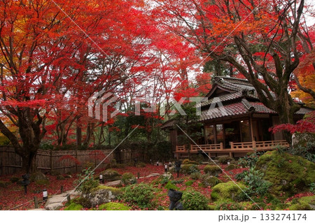 紅葉に包まれた庭園 133274174