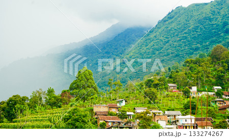beautiful view of a village at the foot of a hill covered in mist 133274267