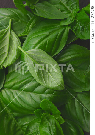 バジル 133274296