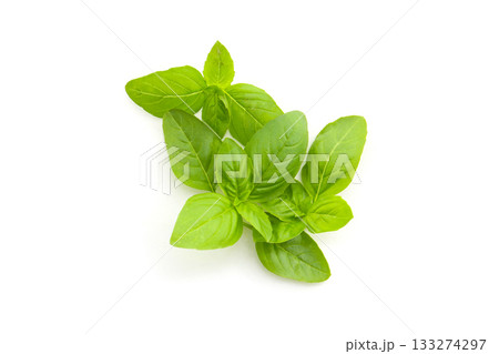 バジル 133274297